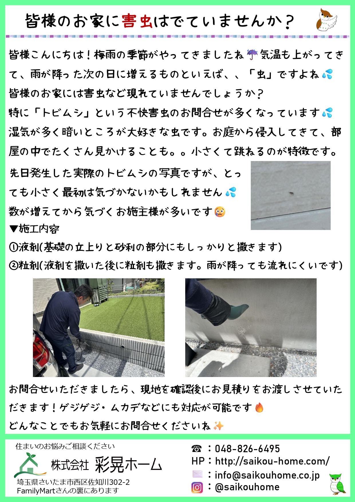 彩晃ニュース6月号①